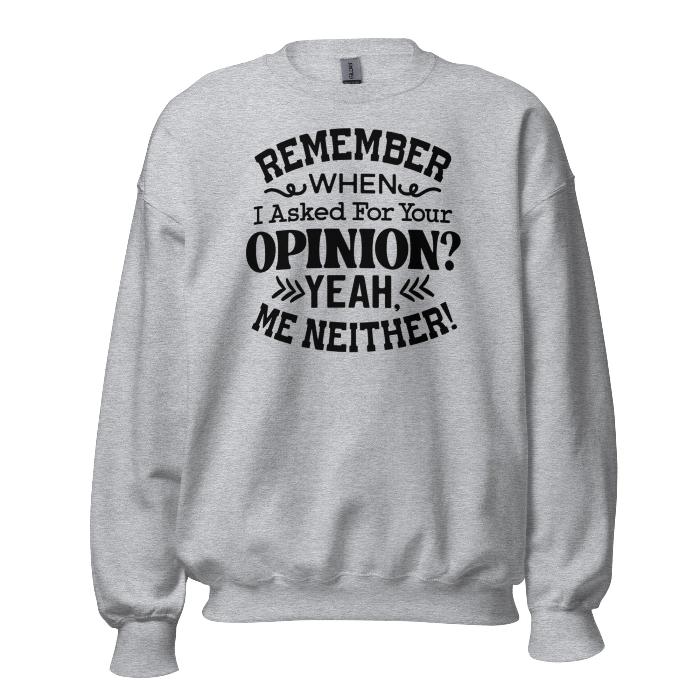 Grey cosy unisex sweatshirt with catchy opinion slogan.