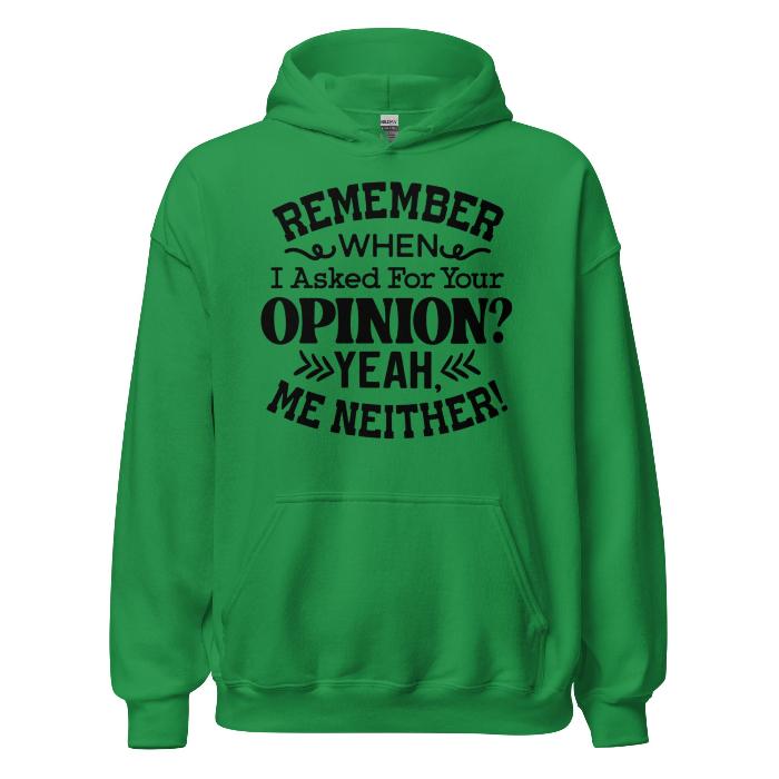 Green classic hoodie with pouch pocket and fun opinion slogan.