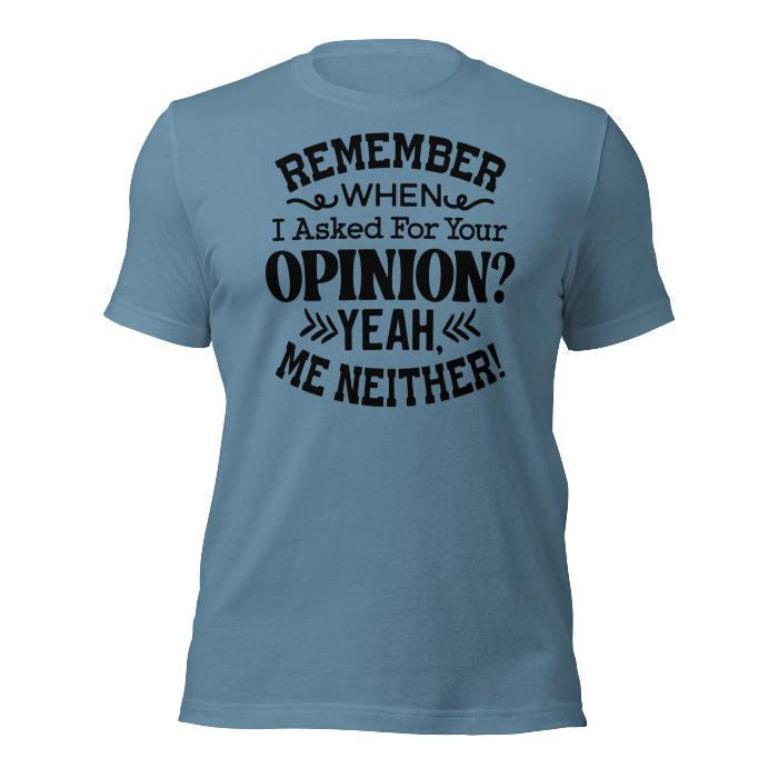 Steel blue unisex t-shirt with fun opinion print. 